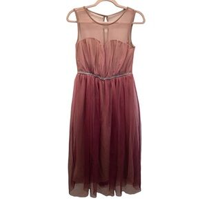 Candalite Size Petite Small Blush Mesh Hombre Style Dress. Preloved